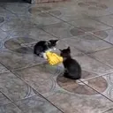 Çıkartma