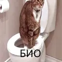 Çıkartma