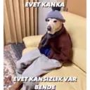 Çıkartma