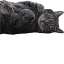 Çıkartma