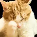 ملصق