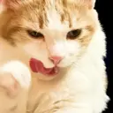 ملصق