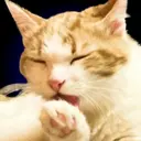 ملصق