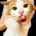 ملصق