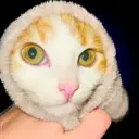 ملصق
