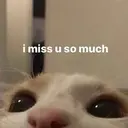 ملصق