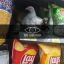 Çıkartma