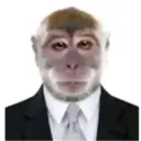 ملصق