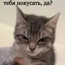 Çıkartma