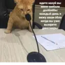 ملصق