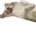 Çıkartma