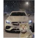 Çıkartma