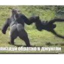 Стикер