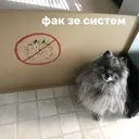 ملصق