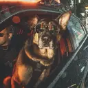 ملصق