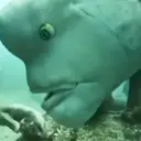 ملصق