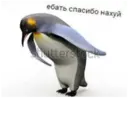Çıkartma