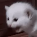 Çıkartma
