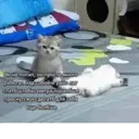 Çıkartma