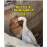 Çıkartma