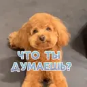 Çıkartma