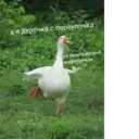 Çıkartma