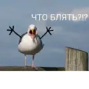 Çıkartma