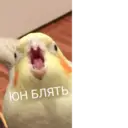 Çıkartma