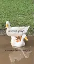 Çıkartma
