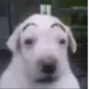 Çıkartma