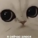 Çıkartma