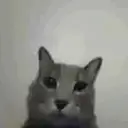 Çıkartma