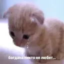 Çıkartma