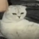 Çıkartma