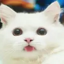 ملصق