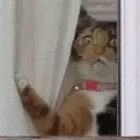 ملصق