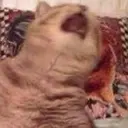 ملصق