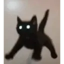 Çıkartma