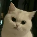 Çıkartma