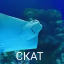 Çıkartma