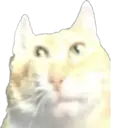 Çıkartma
