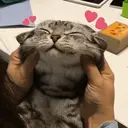 ملصق