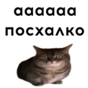 Çıkartma