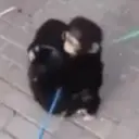 ملصق
