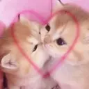 ملصق