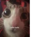 ملصق