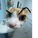 ملصق