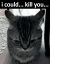 ملصق