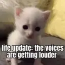 ملصق
