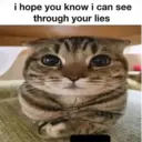 ملصق